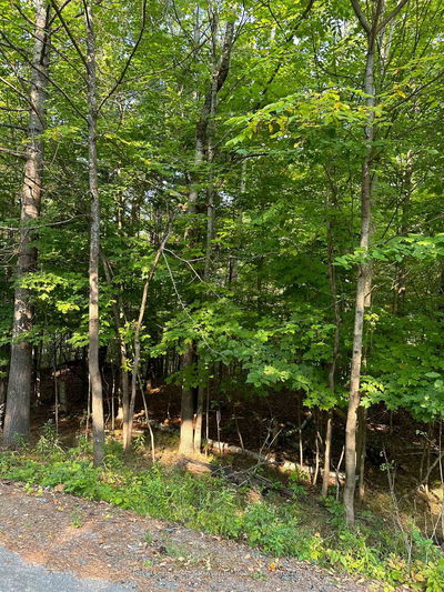 1000 Island Park Rd, Muskoka Lakes - Medora image-0-2