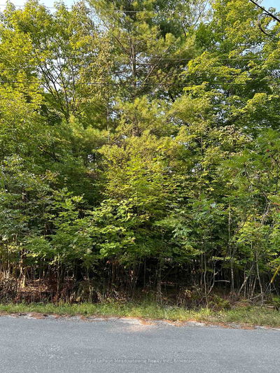 1000 Island Park Rd, Muskoka Lakes - Medora image-0-3