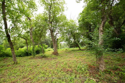 16216 Hwy 2, PT3 & PT4, Brighton - Murray Ward image-0-1