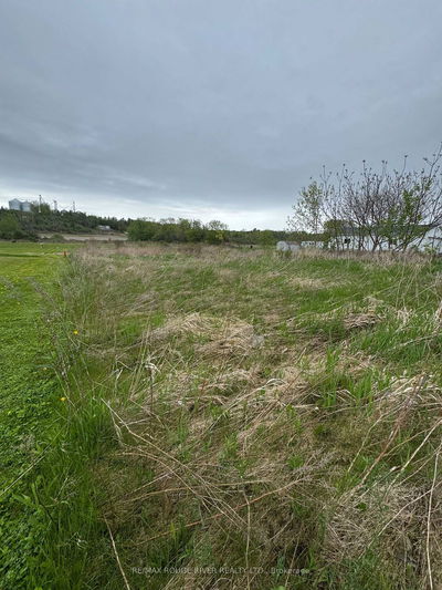 Hwy 2 Part Lot 14, Con A Highway, Alnwick/Haldimand - Rural Alnwick/Haldimand image-0-4