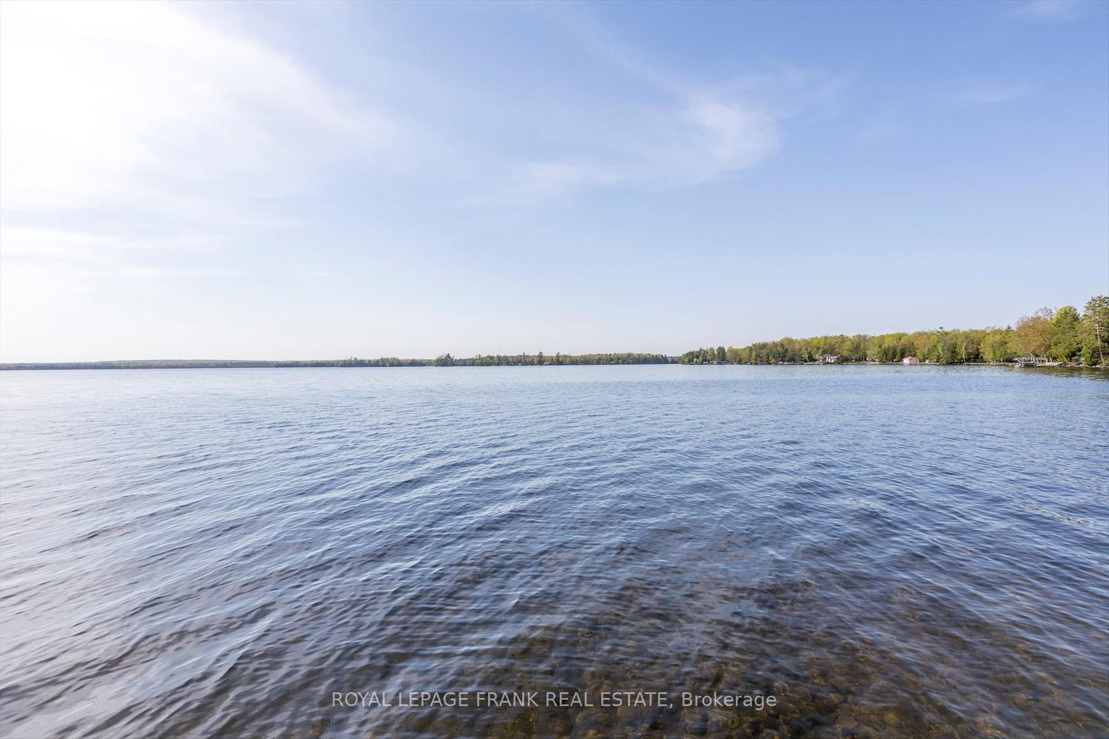 Listing Image 42