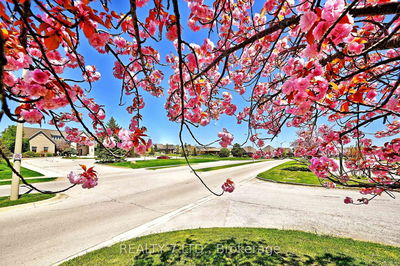 544 Old Course Tr, Welland - Hwy 406/Welland