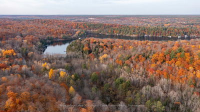  MAPLEHURST Rd, Seguin - Seguin image-0-4