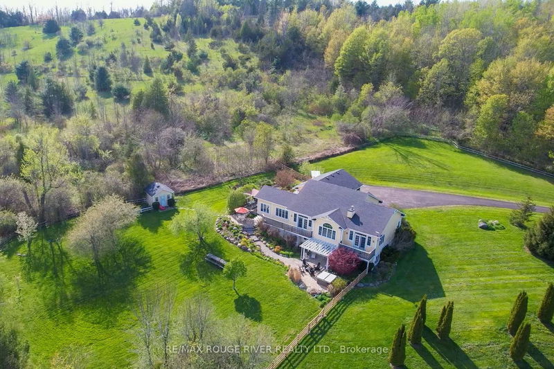 436 Eddystone Rd, Alnwick/Haldimand - Rural Alnwick/Haldimand image-0-0