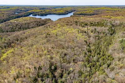 1667 Paint Lake Rd, Lake of Bays - Ridout