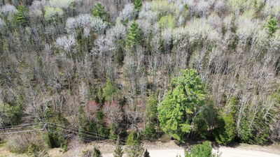 LT 17 CON 13 Richards Rd, Mattawa - Mattawa image-0-2