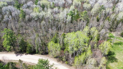 LT 17 CON 13 Richards Rd, Mattawa - Mattawa image-0-3