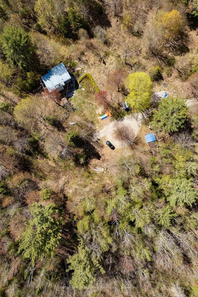 1667 Paint Lake Rd, Lake of Bays - Ridout image-0-1