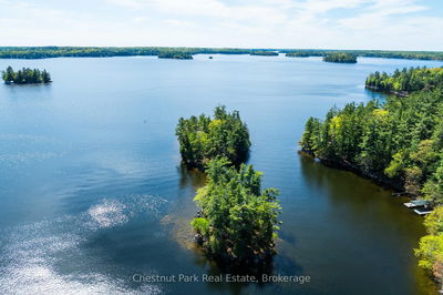 1034 Old Township Rd, Muskoka Lakes - Watt image-0-2