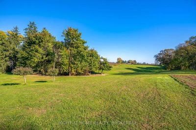 1353 MCNAB Rd, Niagara-on-the-Lake - Lakeshore image-0-3