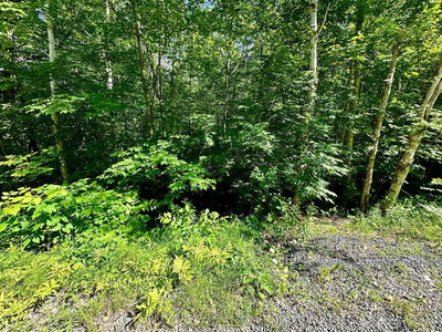  FRONTENAC Dr, McKellar - McKellar image-0-4