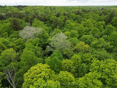 1-22342 East Rd, Parry Sound Remote Area - East Mills image-0-3