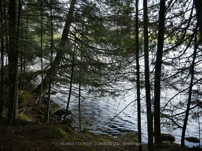 Lot #2 Yakabuskie Rd, Barry's Bay - Madawaska Valley image-0-3