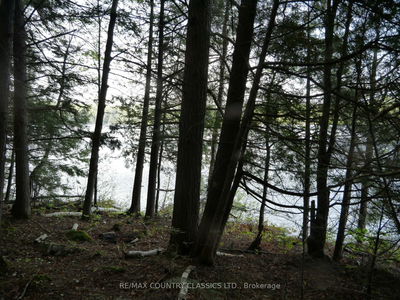 Lot #2 Yakabuskie Rd, Barry's Bay - Madawaska Valley image-0-4