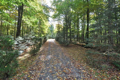 362534 Lindenwood Rd, Georgian Bluffs - Georgian Bluffs image-0-3