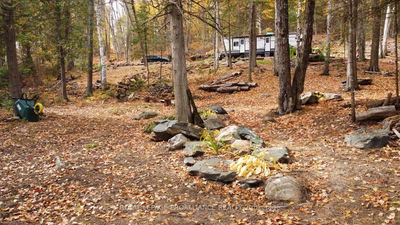22202 Highway 41, Denbigh - Addington Highlands