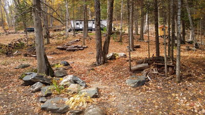 22202 Highway 41, Denbigh - Addington Highlands image-0-1