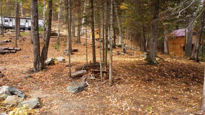 22202 Highway 41, Denbigh - Addington Highlands image-0-2