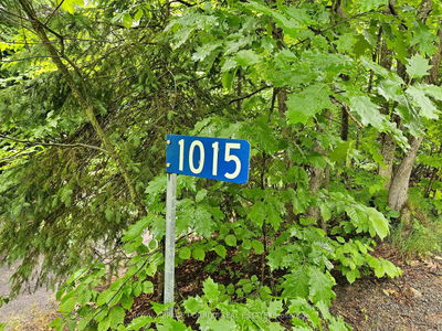 1015 Bayview Point Rd, Lake of Bays - Ridout image-0-1