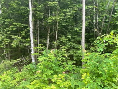  Big Hawk Lake Rd, Algonquin Highlands - Stanhope