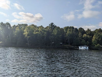 76 Tobin Island, Muskoka Lakes - Medora