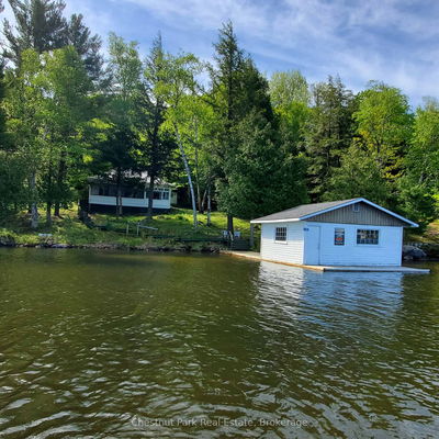 76 Tobin Island, Muskoka Lakes - Medora image-0-1