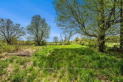  JELLYBY Rd, Elizabethtown-Kitley - Elizabethtown Kitley (Old Kitley) Twp image-0-1