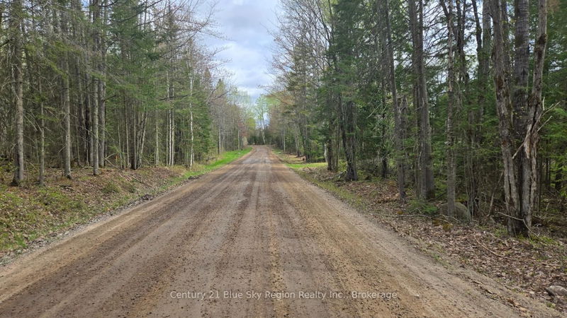 2438 Village Rd, Chisholm - Chisholm image-0-0