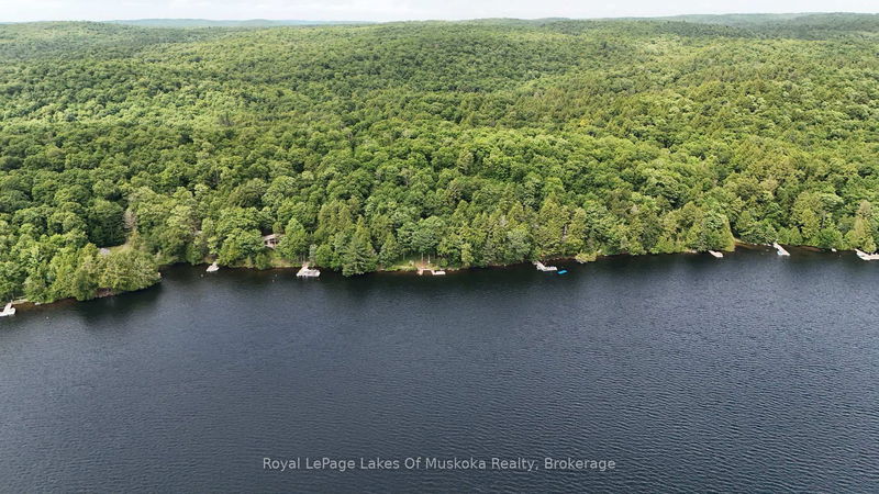 1002 Camp Lake Rd, Lake of Bays - Finlayson image-0-0