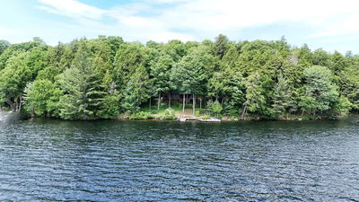 1002 Camp Lake Rd, Lake of Bays - Finlayson image-0-2