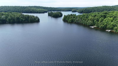 1002 Camp Lake Rd, Lake of Bays - Finlayson image-0-4