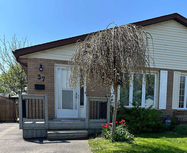 37 Mayfair Drive