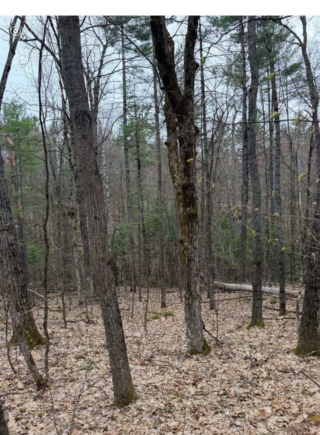 0 Bucholtz Road