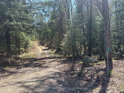 515 JAMES CAMP Rd, Ryerson - Ryerson image-0-1
