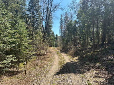 515 JAMES CAMP Rd, Ryerson - Ryerson image-0-2