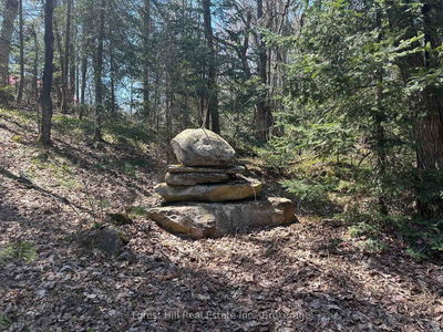 515 JAMES CAMP Rd, Ryerson - Ryerson image-0-3