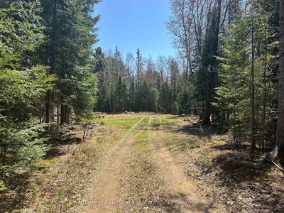 515 JAMES CAMP Rd, Ryerson - Ryerson image-0-4