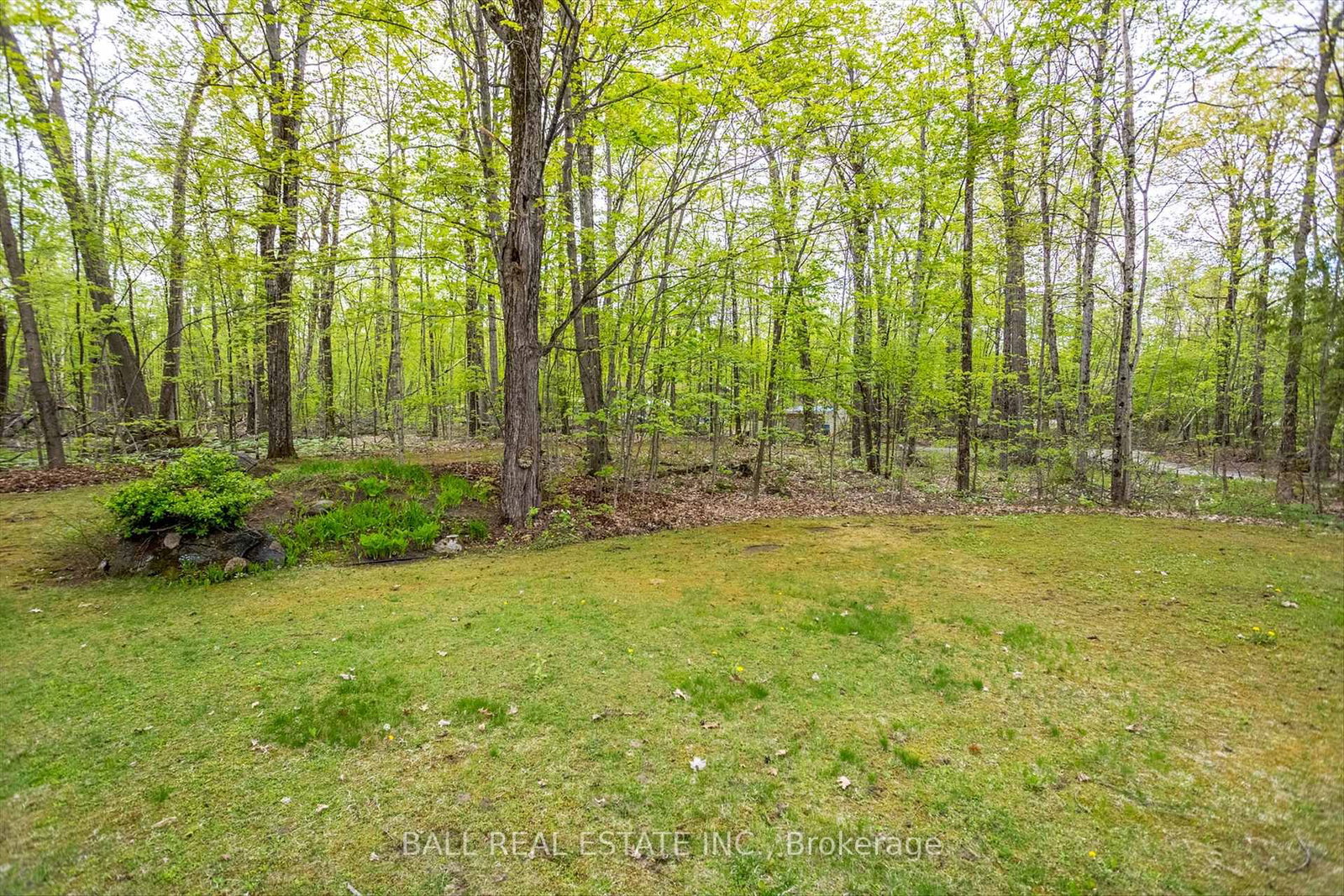 Listing Image 36