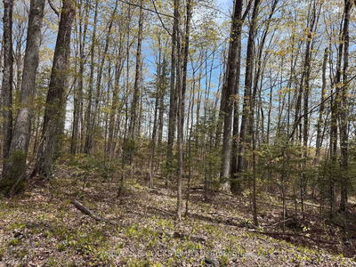 24 Gilmour Lane, North Kawartha - North Kawartha image-0-2