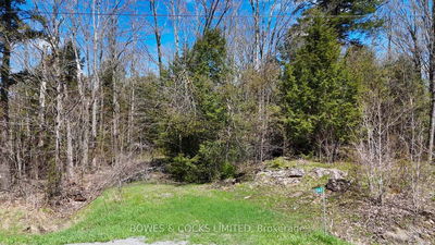 1160 Balmer Rd, North Kawartha - North Kawartha image-0-1