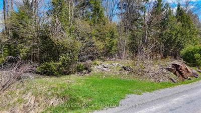 1160 Balmer Rd, North Kawartha - North Kawartha image-0-2