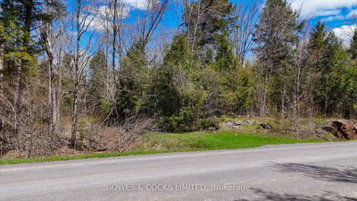 1160 Balmer Rd, North Kawartha - North Kawartha image-0-4