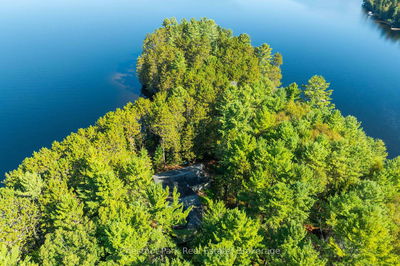 10000 Soyers - Brown Island, Minden Hills -  image-0-1