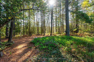 10000 Soyers - Brown Island, Minden Hills -  image-0-2