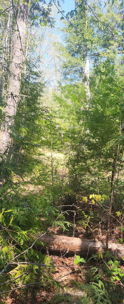 00 Fire Route 67, Havelock-Belmont-Methuen - Havelock-Belmont-Methuen image-0-1