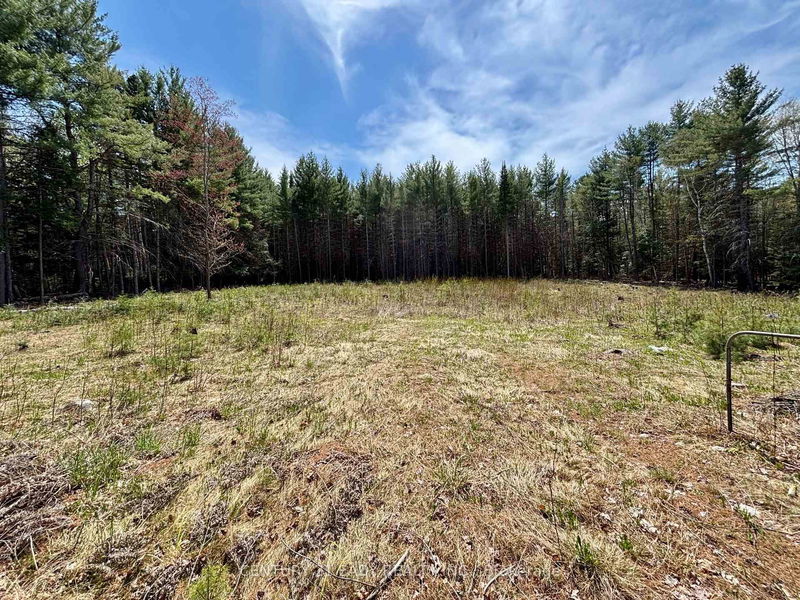 20185 Hwy 60 Highway, Barry's Bay - Madawaska Valley image-0-0