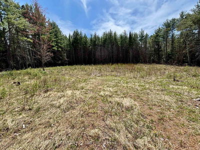 20185 Hwy 60 Highway, Barry's Bay - Madawaska Valley image-0-2
