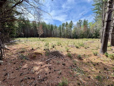20185 Hwy 60 Highway, Barry's Bay - Madawaska Valley image-0-3