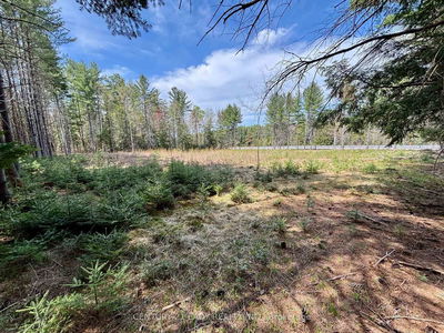 20185 Hwy 60 Highway, Barry's Bay - Madawaska Valley image-0-4
