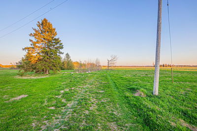 Unit 12 — 393330 County Rd, Amaranth - Rural Amaranth image-0-4